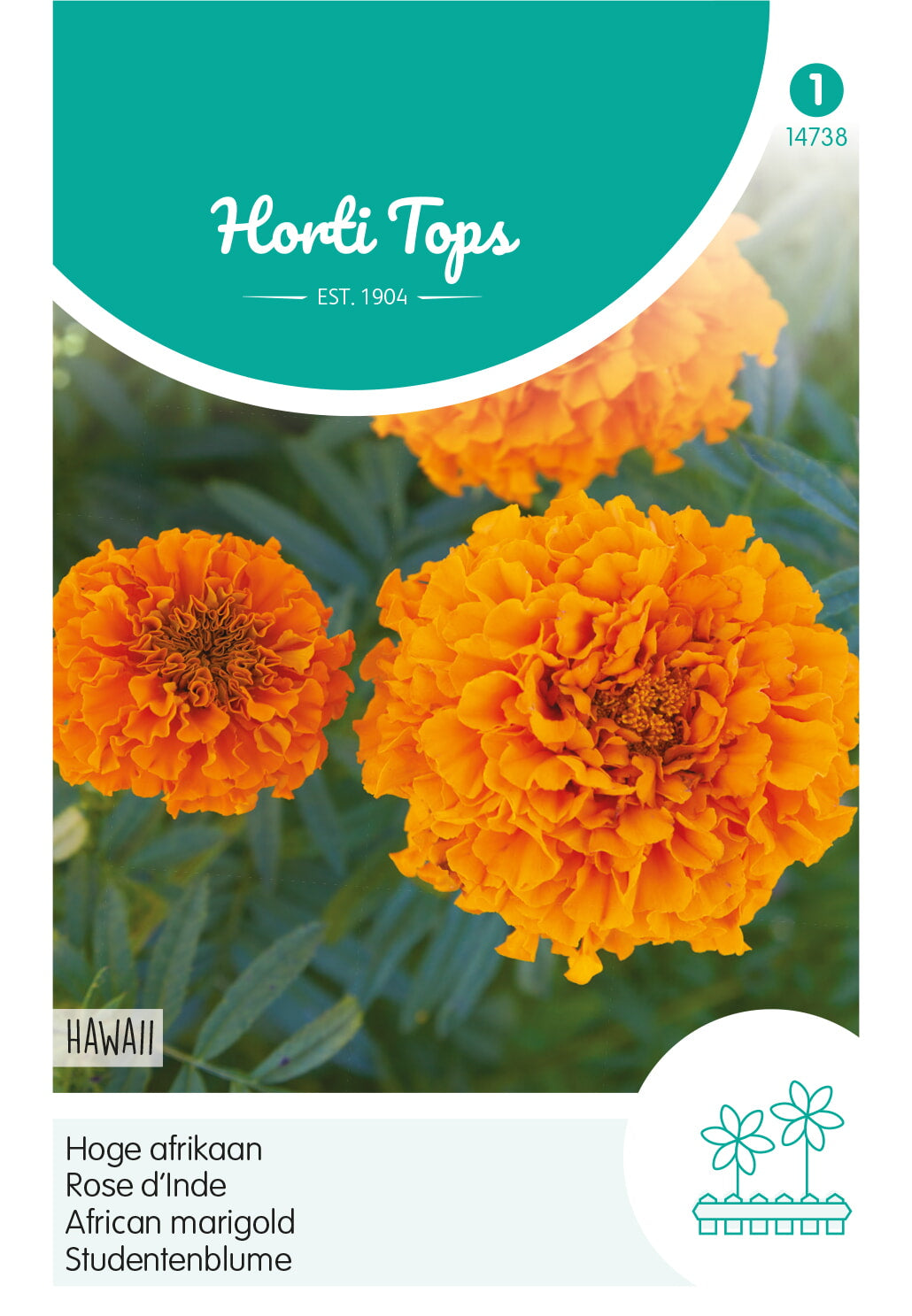 African Marigold - Hawaii Orange - 1 g