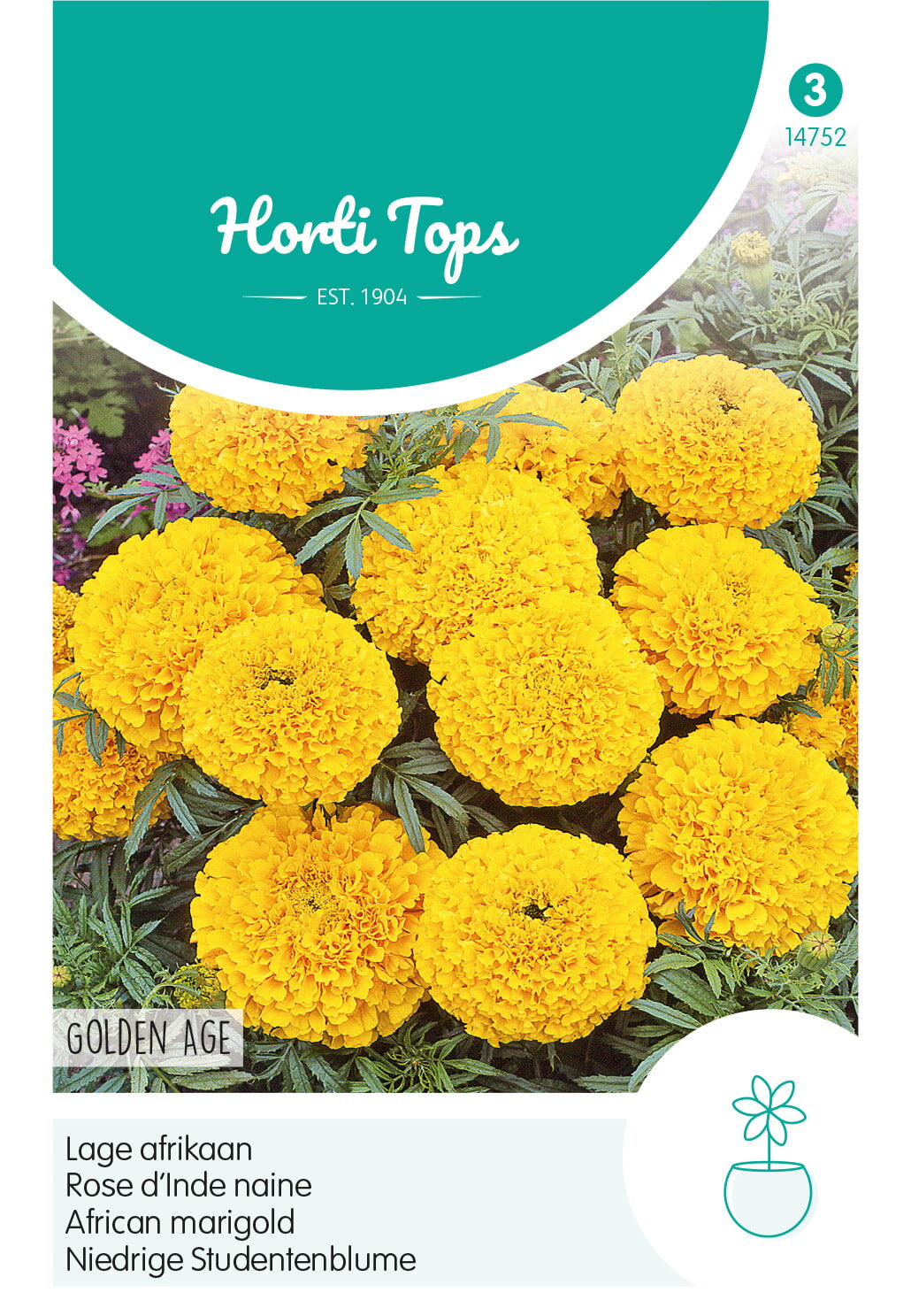 African Marigold - Golden Age - 0.5 g