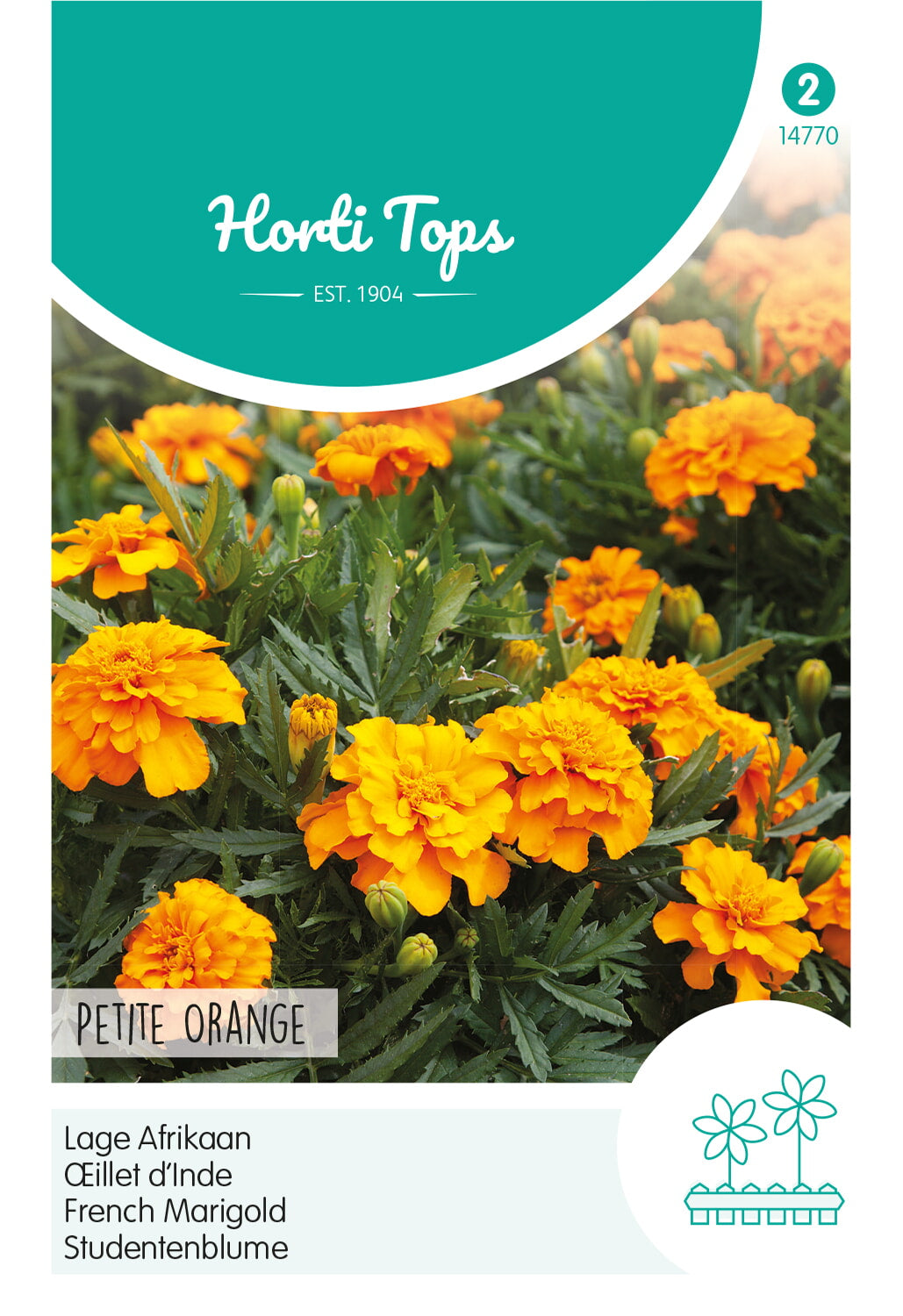 French Marigold - Petite Orange - 1 g
