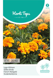 French Marigold - Petite Orange - 1 g