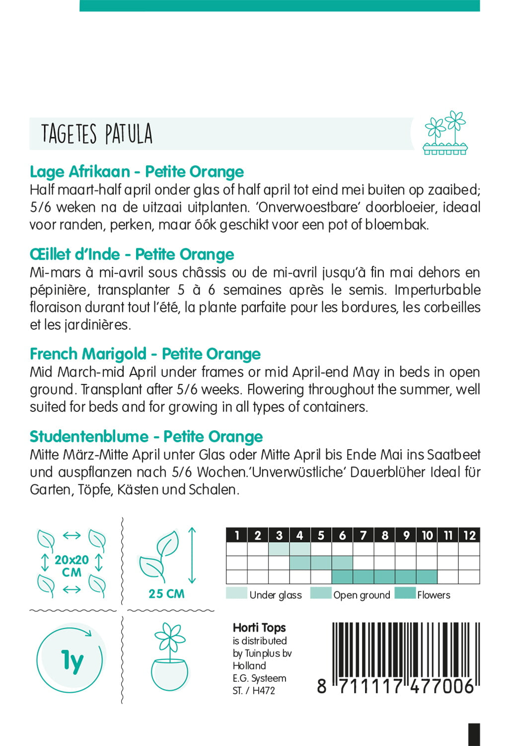 French Marigold - Petite Orange - 1 g