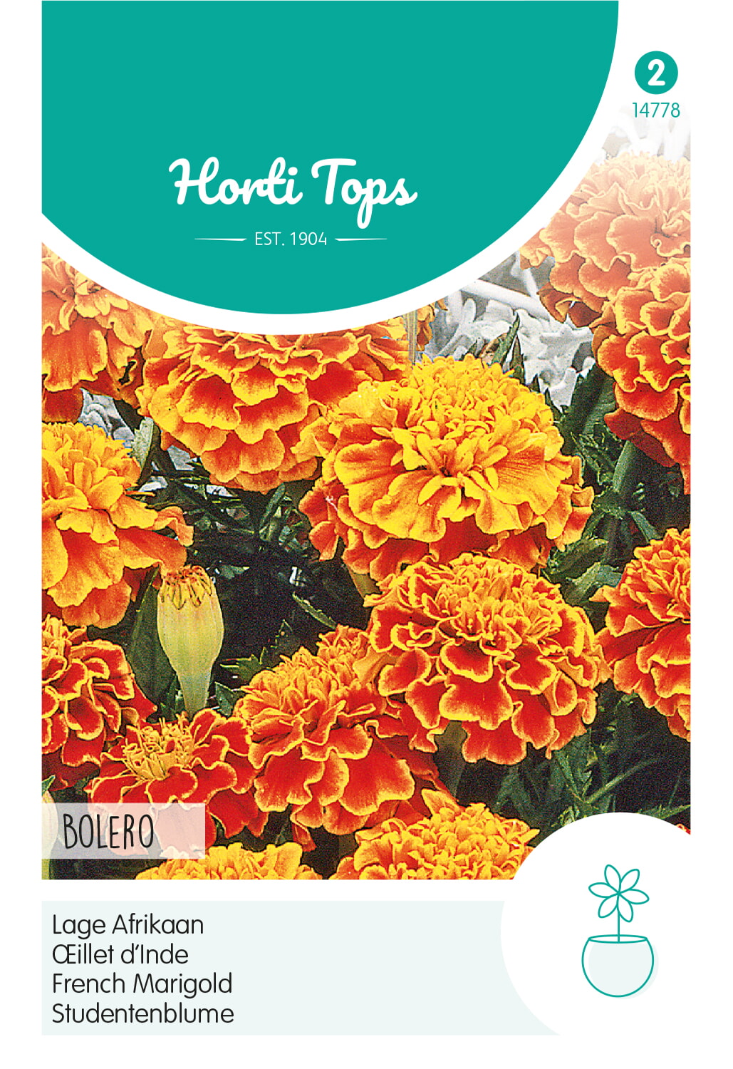 French Marigold - Bolero - 1 g
