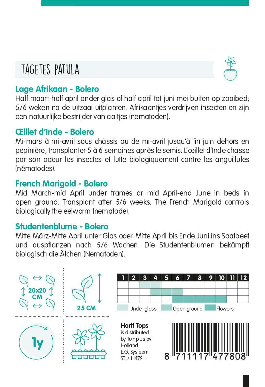 French Marigold - Bolero - 1 g