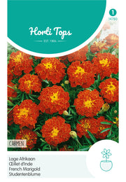 French Marigold - Carmen - 1 g