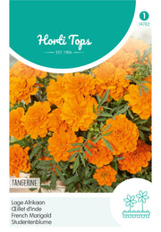 French Marigold - Tangerine - 1 g
