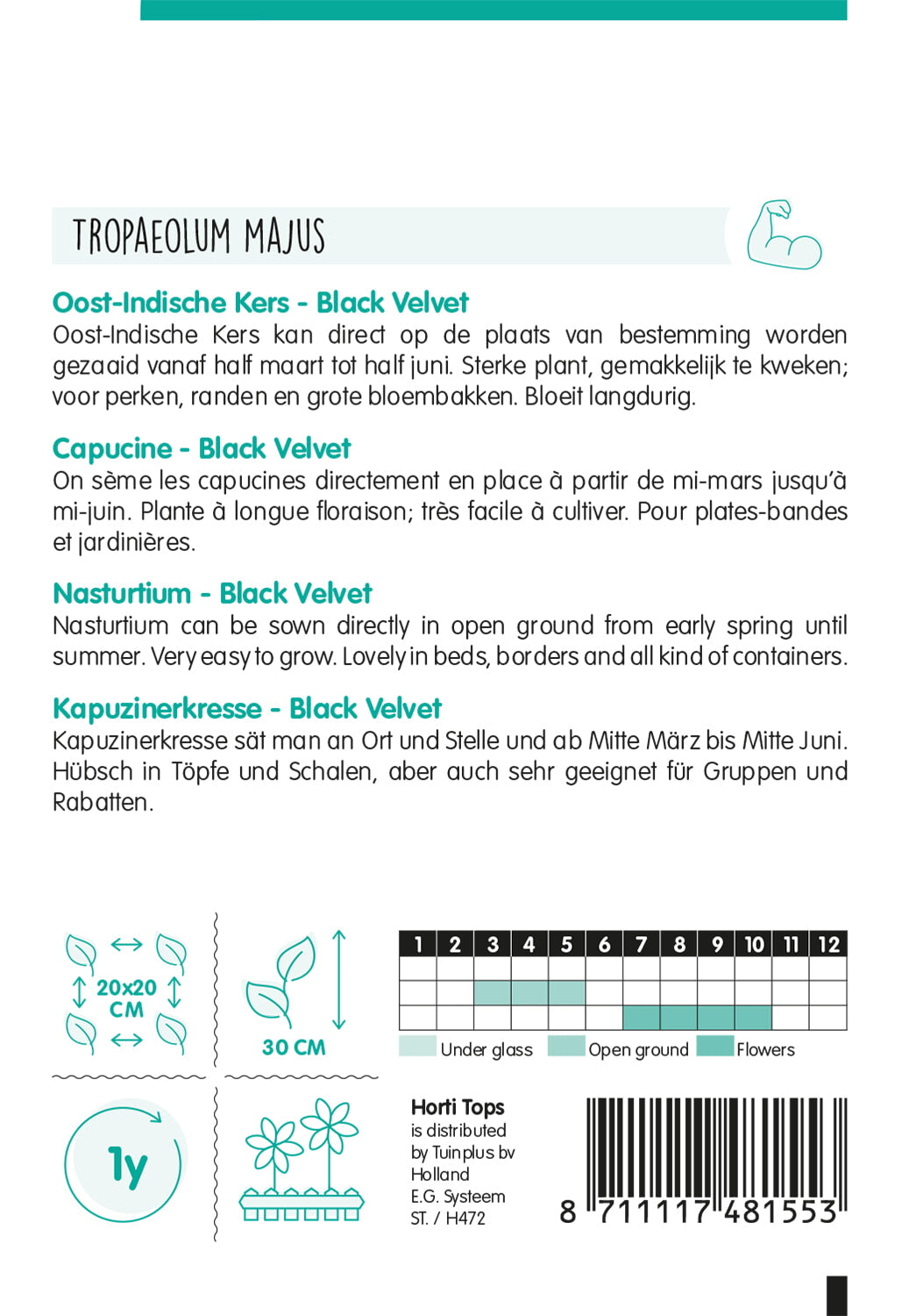 Nasturtium - Black Velvet - 4 g