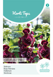 Mályvarózsa - Chater's Deep Purple - 0,25g