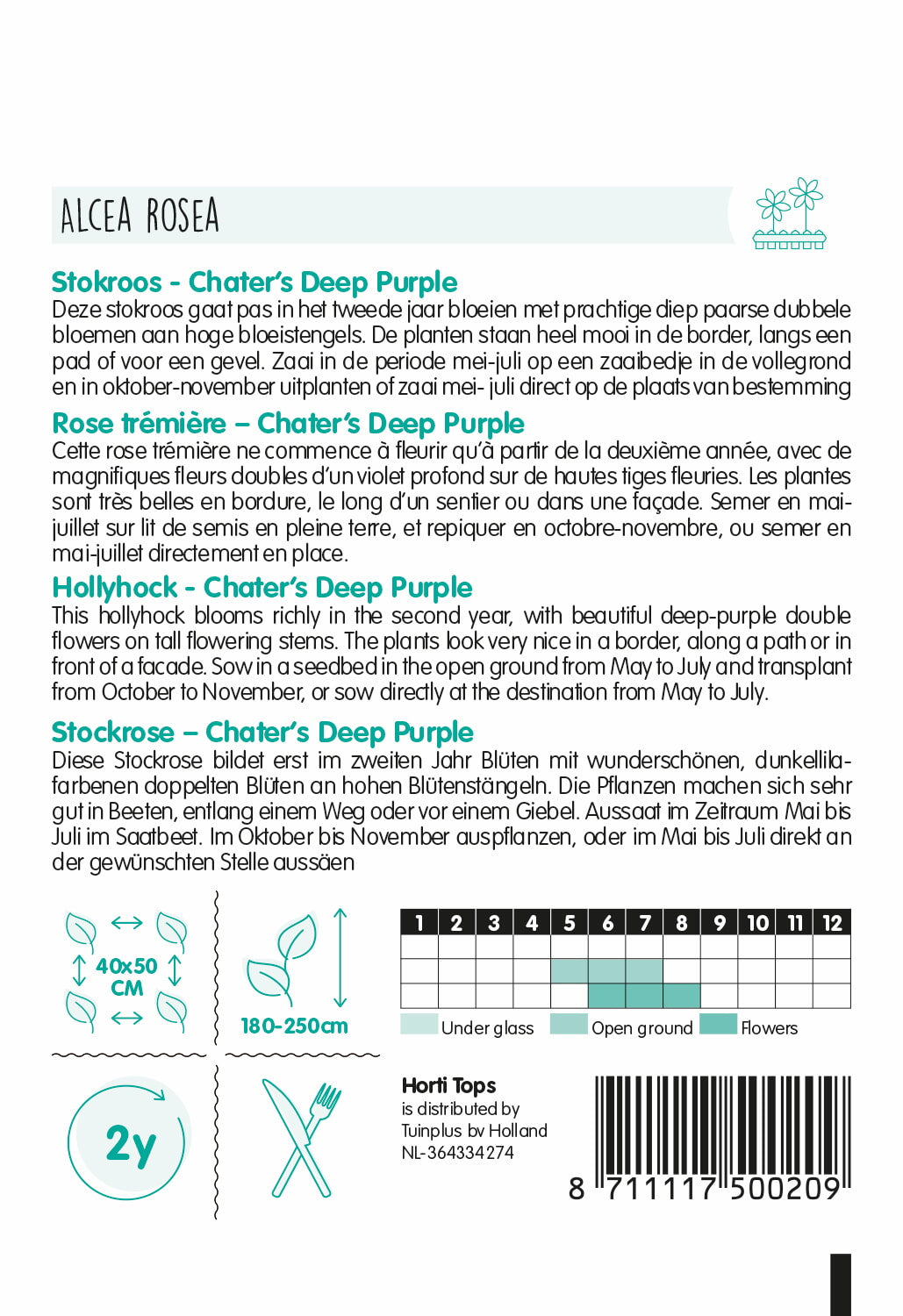 Mályvarózsa - Chater's Deep Purple - 0,25g