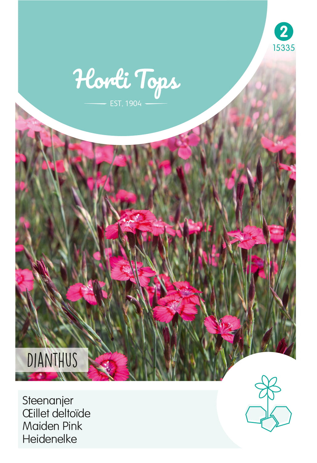 Réti szegfű – Dianthus – 0,25 g