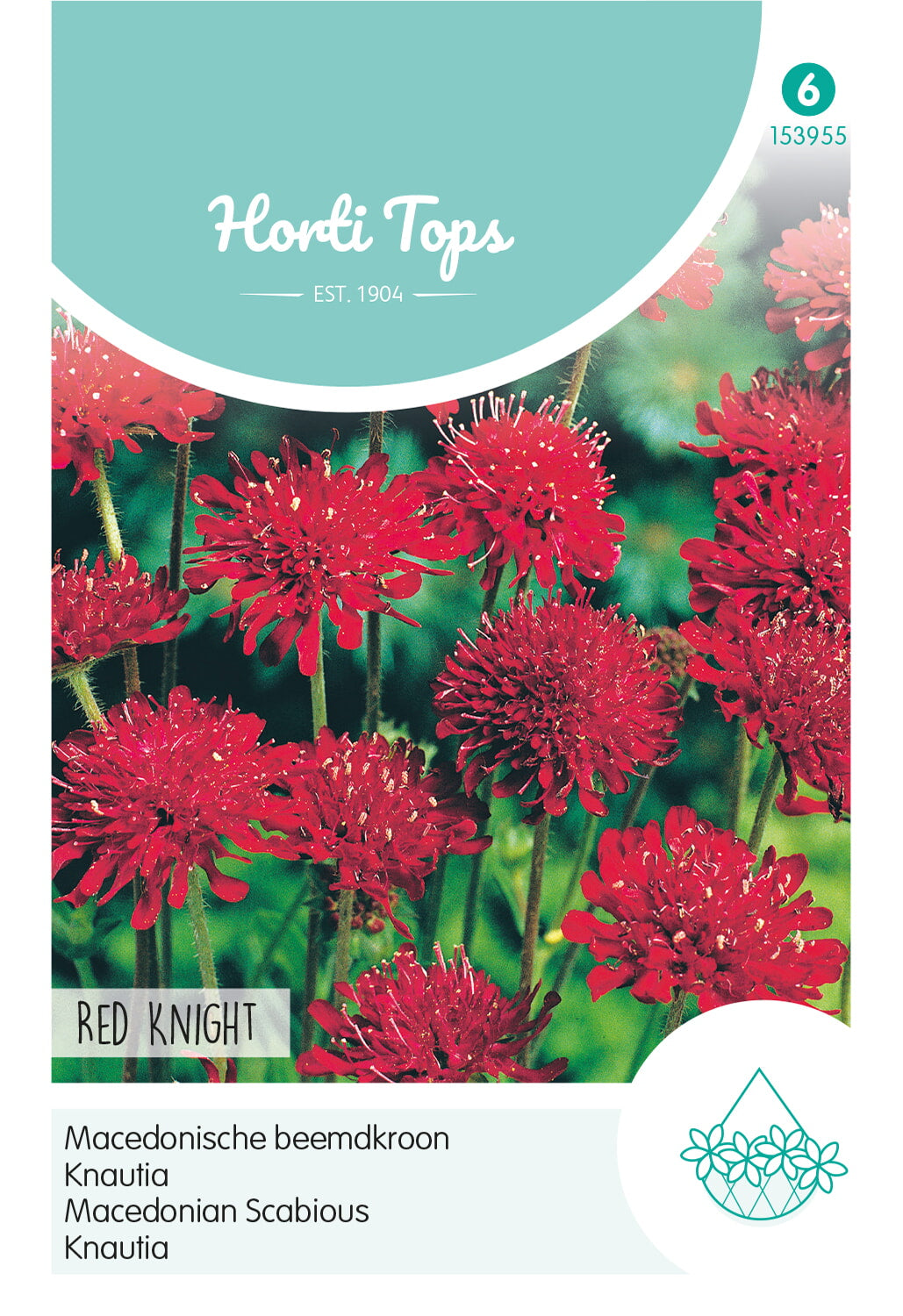 Macedón varfű – Red Knight – 0,25 g