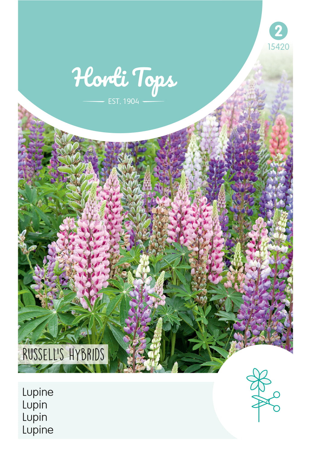 Lupin - Russell's Hybrids - 2 g