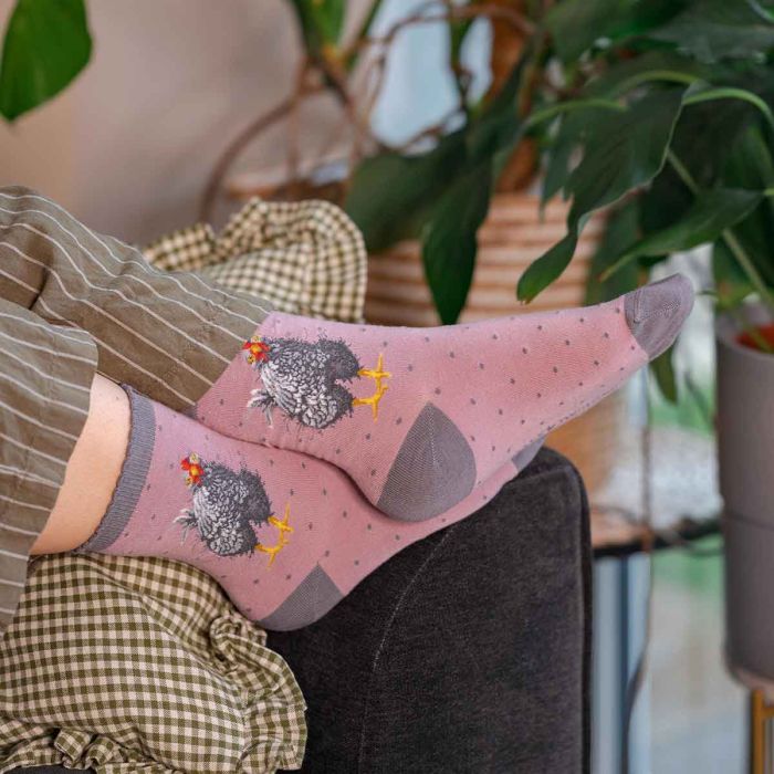 Women's Socks - Chicken - Curious Hen