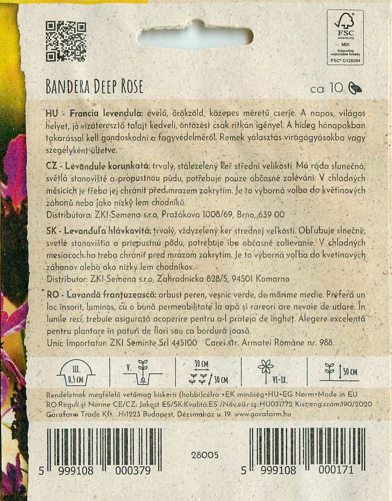 Francia Levendula - Bandera Deep Rose - 10 Szem