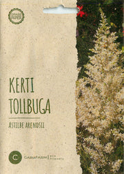 Kerti Tollbuga - Astilbe White - 6 Szem