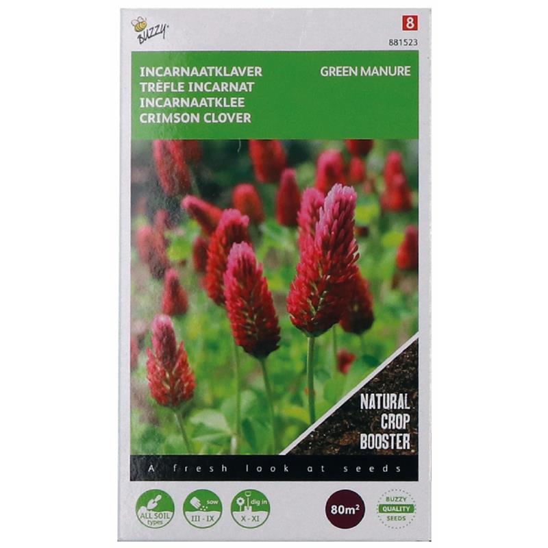 Green Manure - Crimson Clover - 200 g - 80 m2