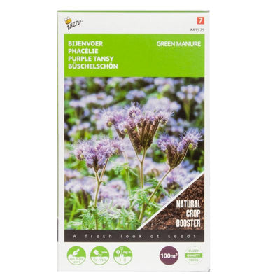 Green Manure - Purple Tansy - 100 g - 100 m2
