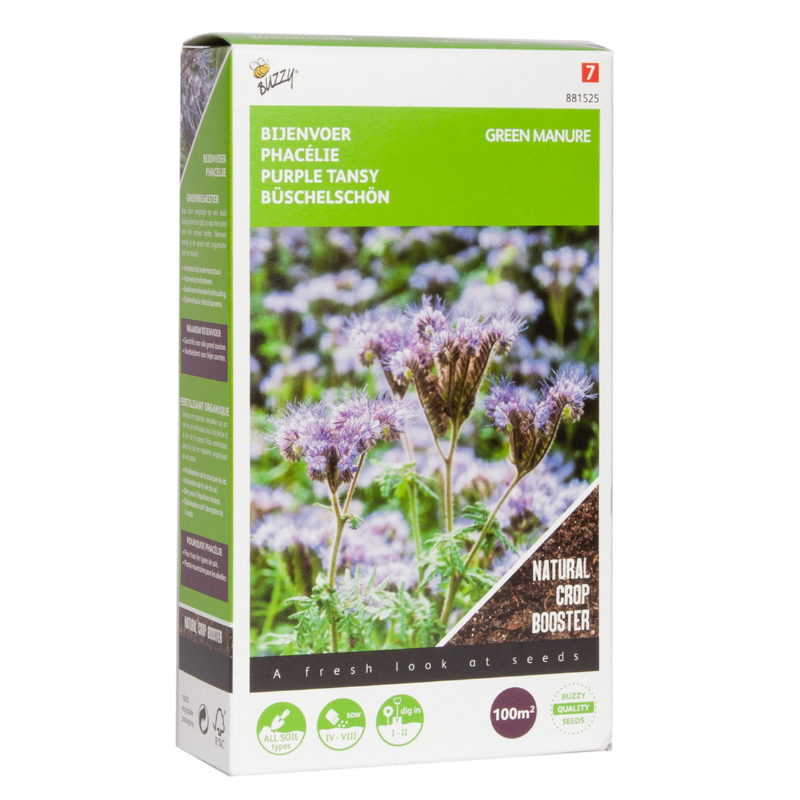 Green Manure - Purple Tansy - 100 g - 100 m2