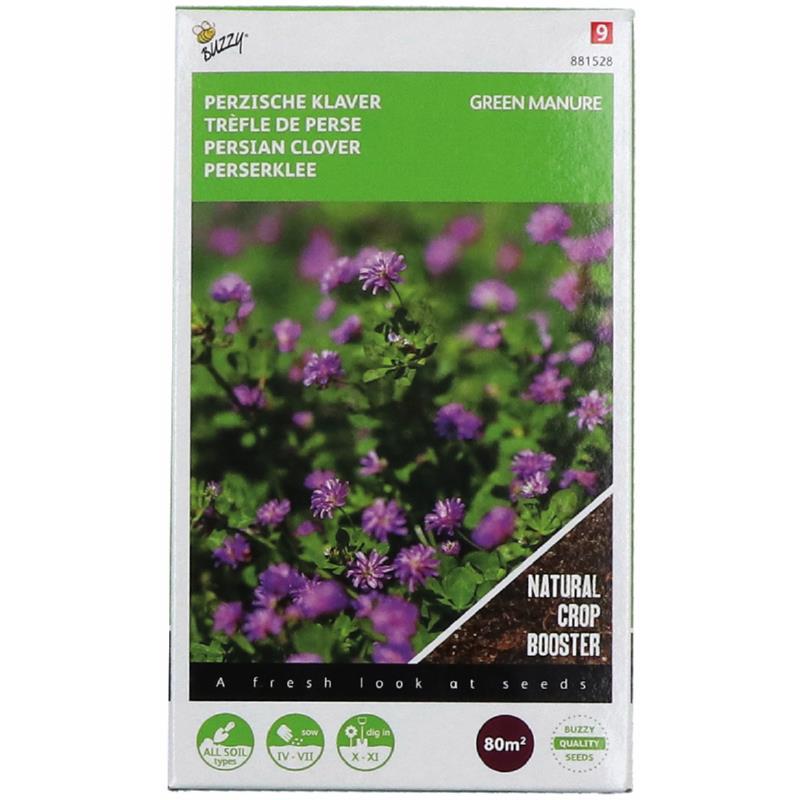 Green Manure - Persian Clover - 200 g - 80 m2