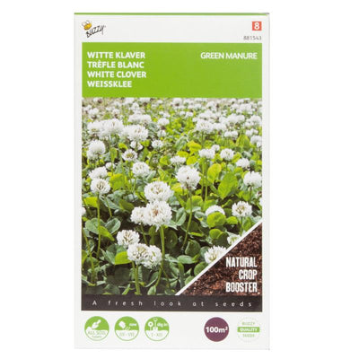 Green Manure - White Clover - 100 g - 100 m2