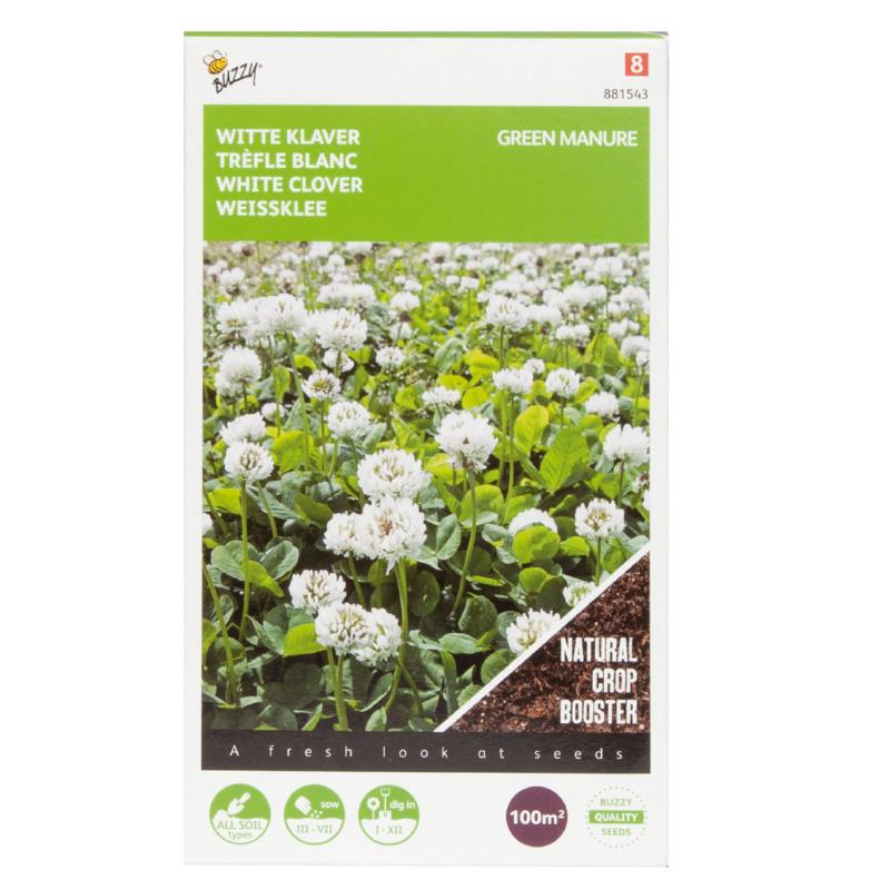 Green Manure - White Clover - 100 g - 100 m2