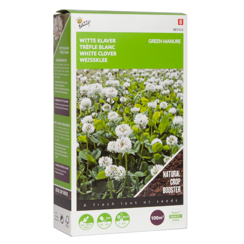 Green Manure - White Clover - 100 g - 100 m2