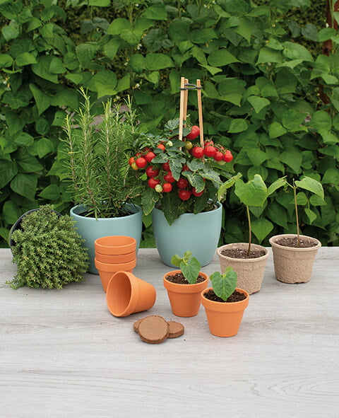 Terrakotta Cserepek - 7/8 cm - 7 db
