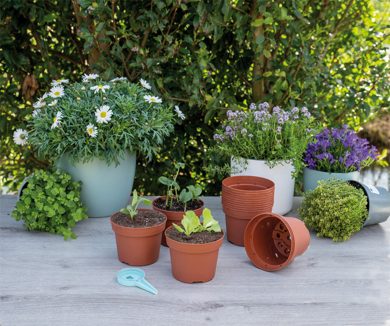 Plastic Pots - 13 cm - 12 pcs