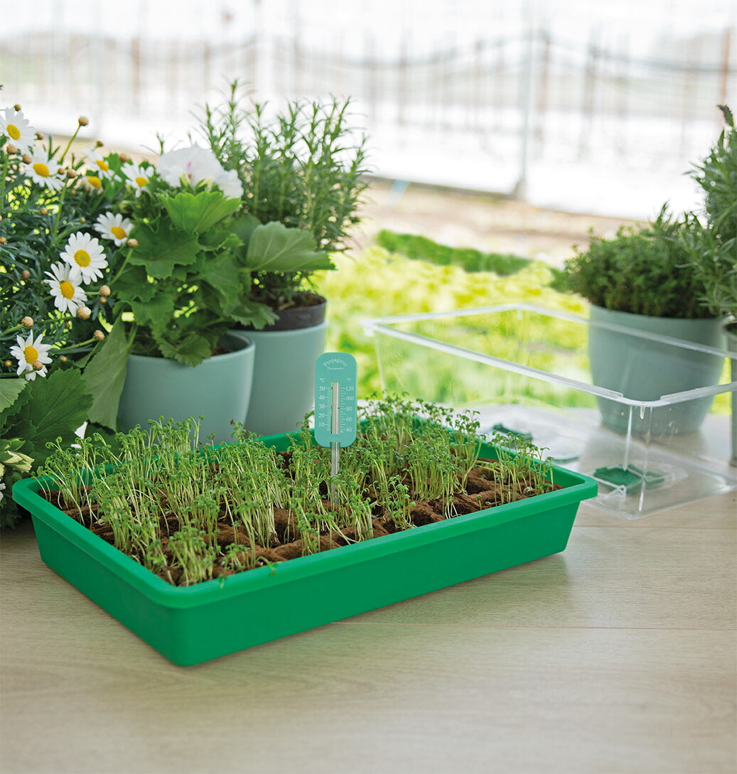 Propagator Thermometer