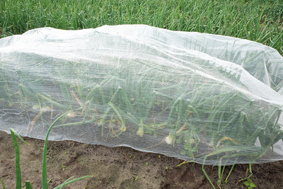 Climate Cloth - 2x5m