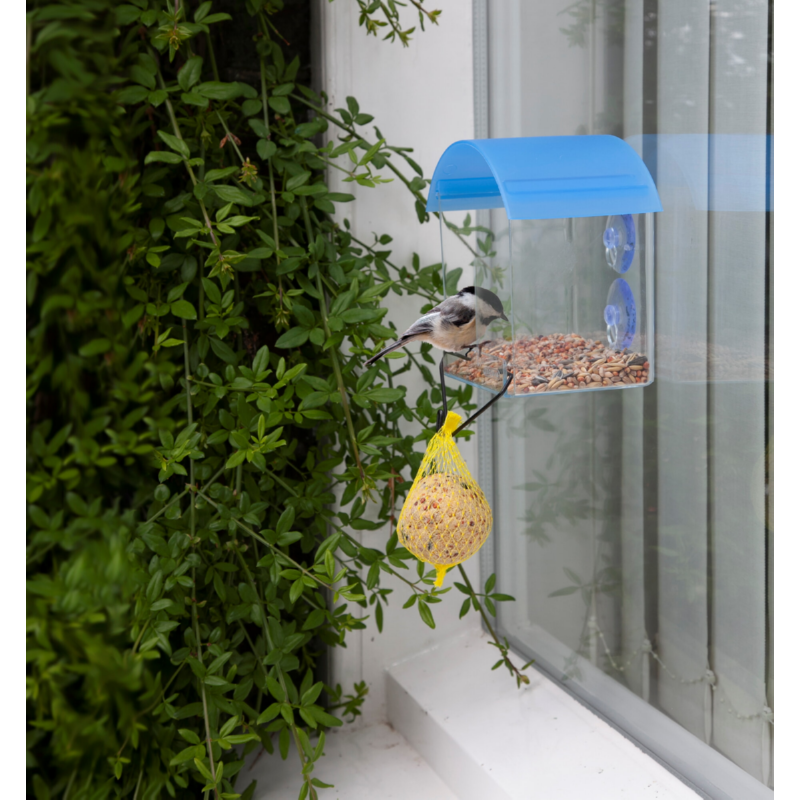 Window Birdfeeder