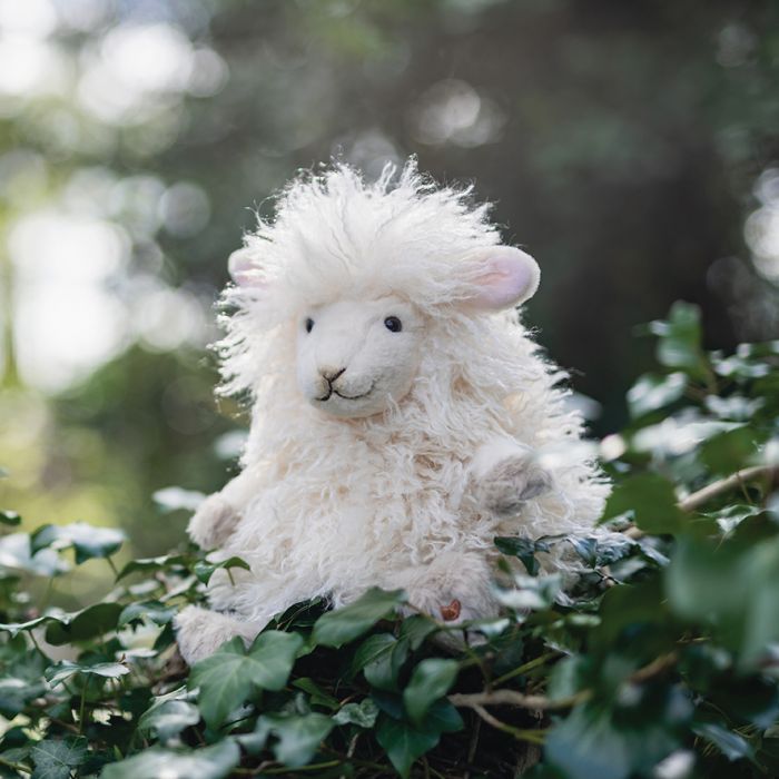 Beryl - Sheep Plush-2
