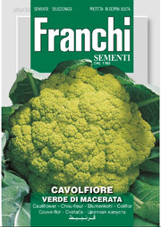 Cauliflower - Cavolfiore Verde de Macerata - 3.2 g