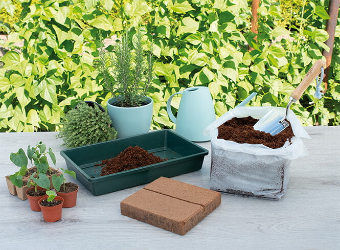 Coconut Soil Tablet- 10L-2