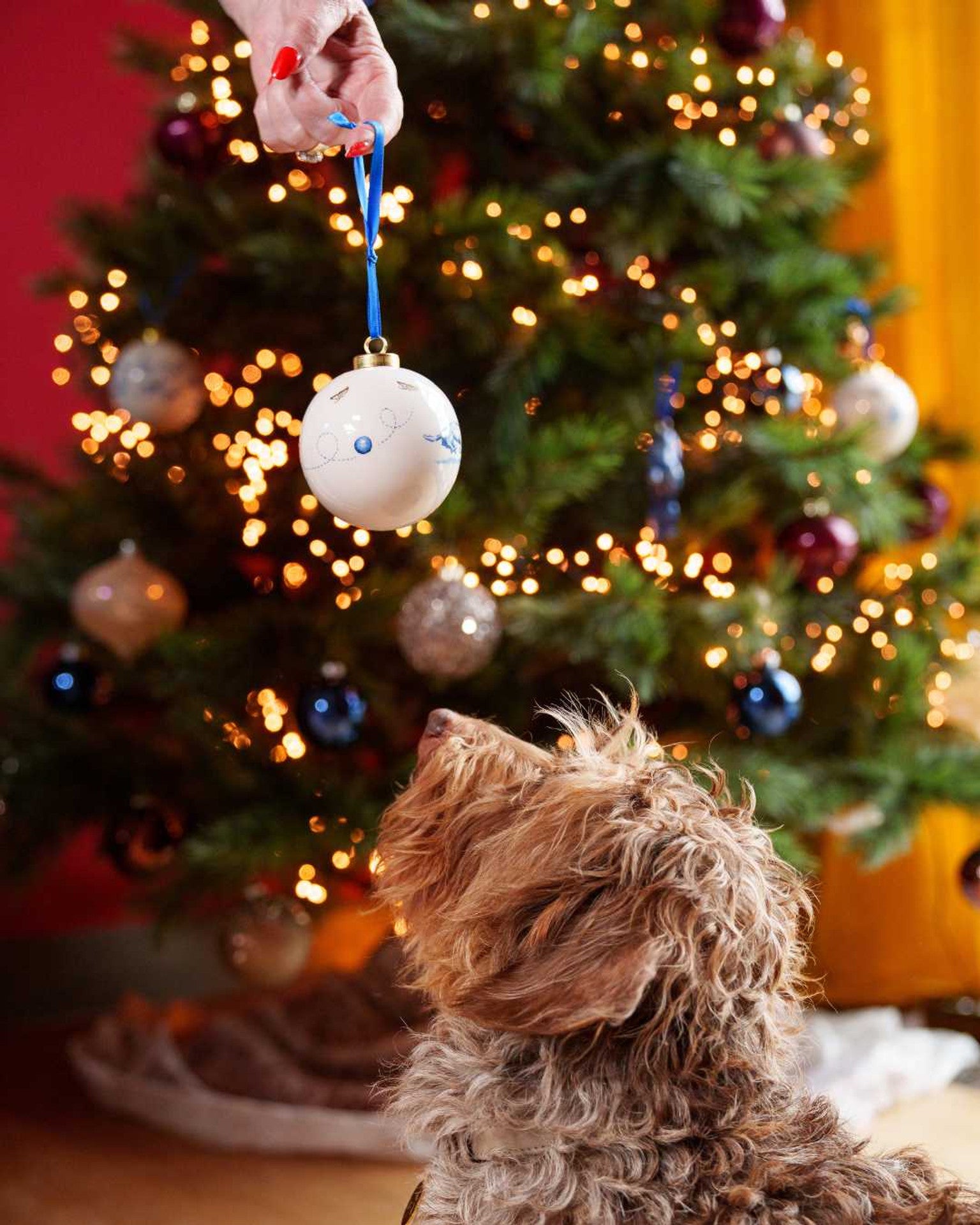 Karácsonyi gömb – Tacskó labdával – 8 cm