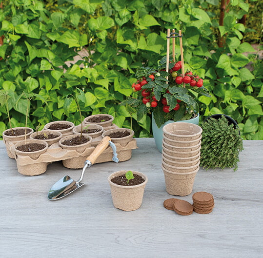 Paper Pots - 9 cm - 12 pcs-2