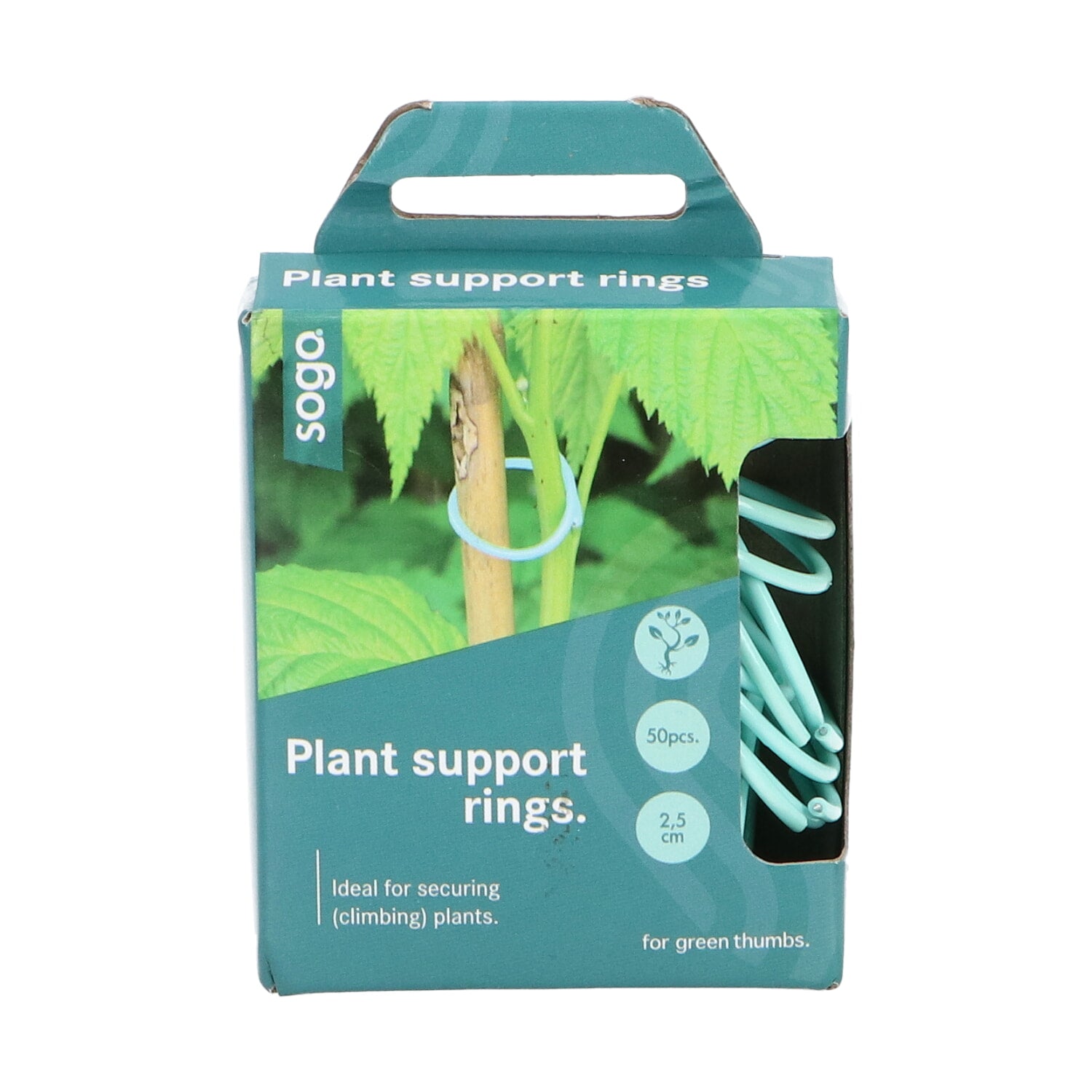 Plant Rings - 50 pcs-3
