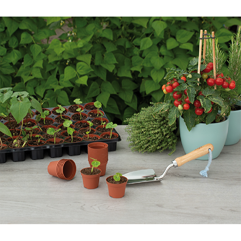 Plastic Pots - Ø 6cm - 30 pcs-3
