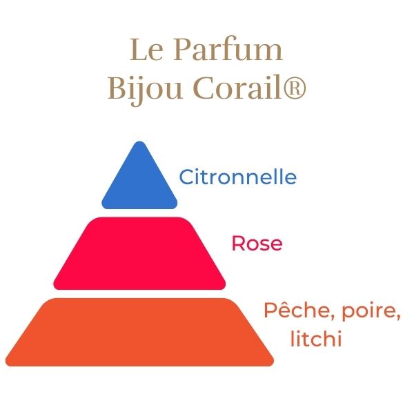 Floribunda Rózsa - Bijou Corail®