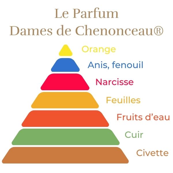 Floribunda Rózsa - Dames de Chenonceau®