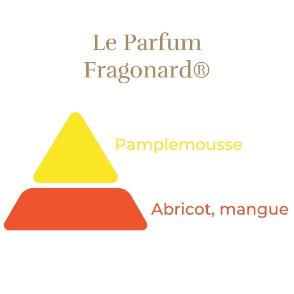 Teahibrid Rózsa - Fragonard®