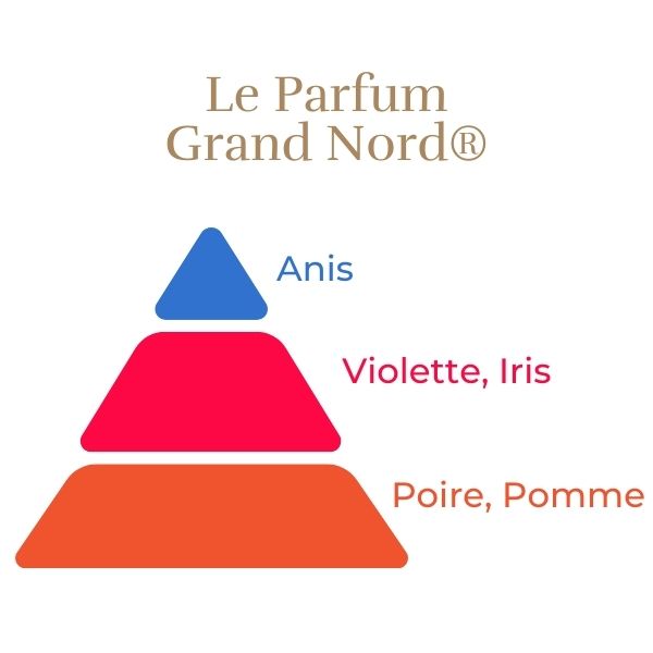Teahibrid Rózsa - Grand Nord®