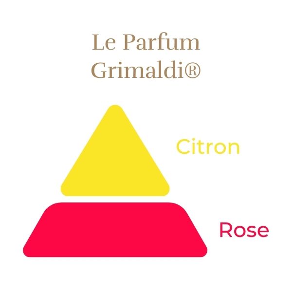 Floribunda Rózsa – Grimaldi®