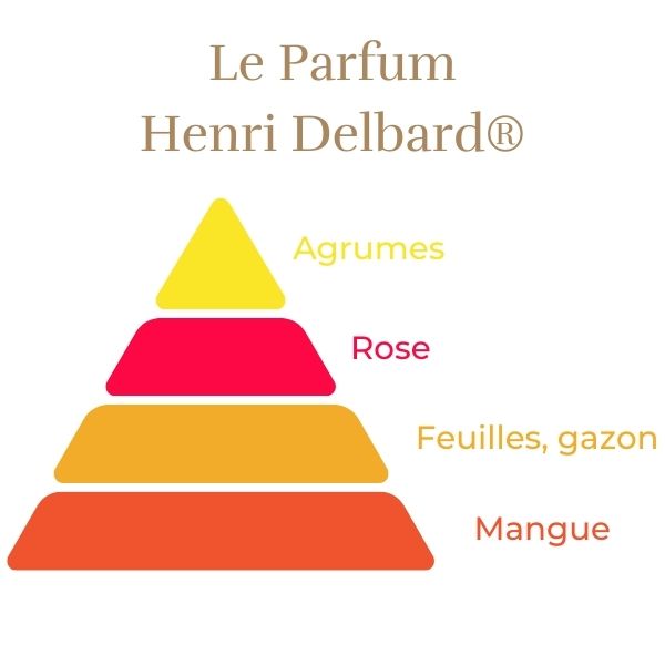 Teahibrid Rózsa - Henri Delbard®