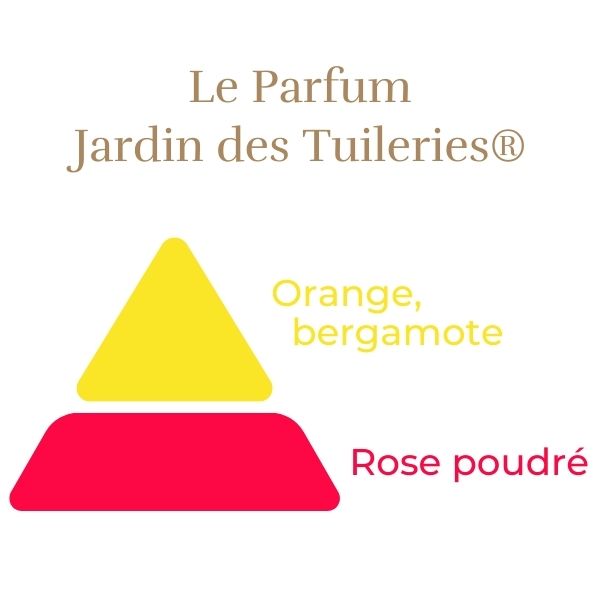 Floribunda Rózsa - Jardin des Tuileries®