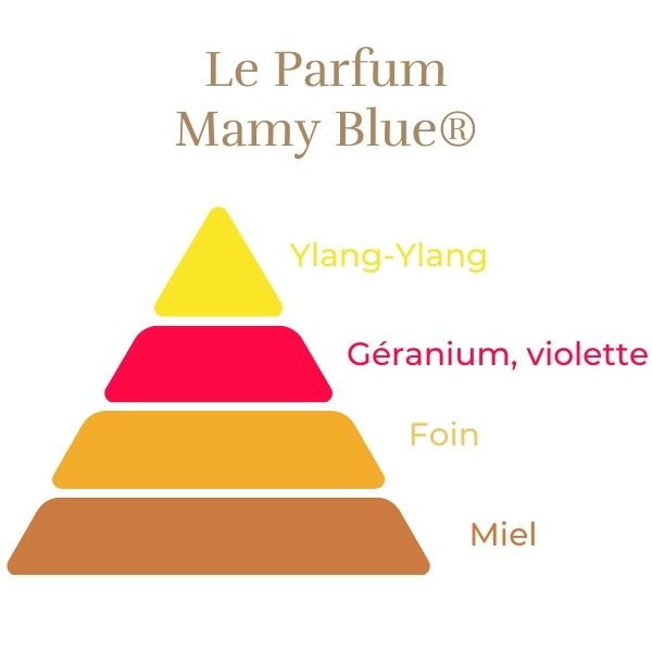 Teahibrid Rózsa - Mamy Blue®