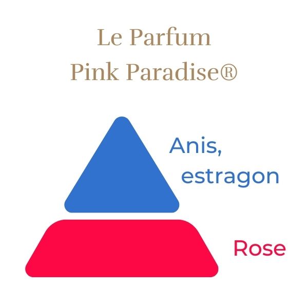Teahibrid Rózsa - Pink Paradise®