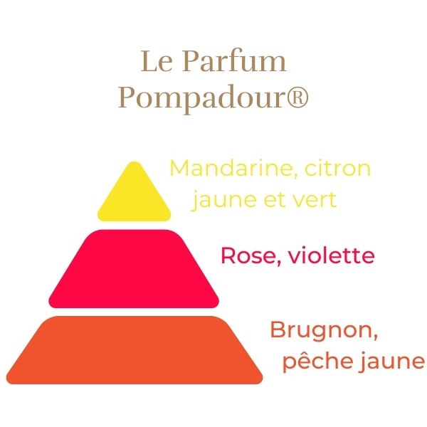 Teahibrid Rózsa - Pompadour®