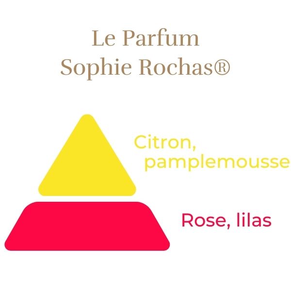 Teahibrid Rózsa - Sophie Rochas®