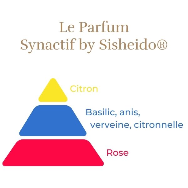 Floribunda Rózsa - Synactif by Shiseido®