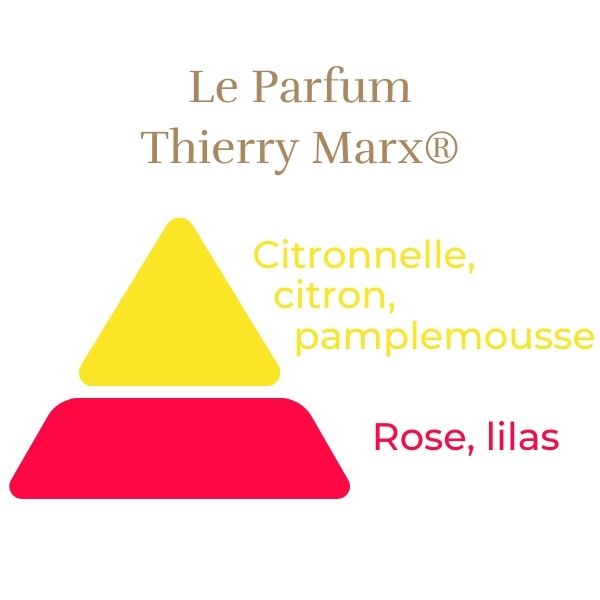 Floribunda Rózsa - Thierry Marx®
